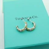 18K T Schlumberger Twenty Stone Hoop Earrings