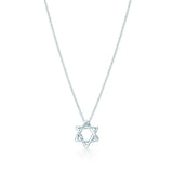 18K Star of David Pendant Necklace